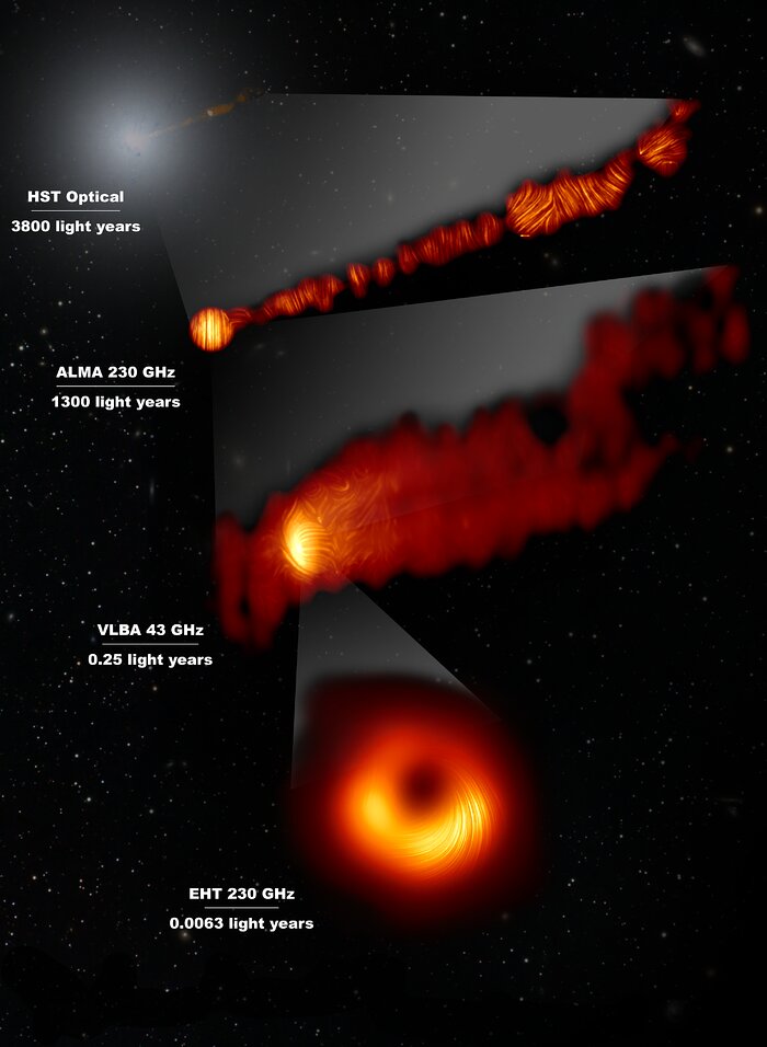 M87 in luce polarizzata