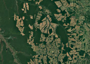 Una foto della forestra amazzonica del Brasile dal satellite Landsat 8. Credits: NASA