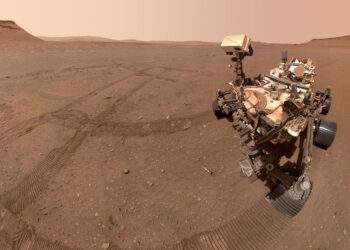 Perseverance della NASA ha scattato questo selfie guardando dall'alto in basso uno dei 10 campioni depositati nell'area soprannominata "Three Forks". L'immagine è stata scattata dalla telecamera WATSON sul braccio robotico del rover il 20 gennaio 2023, il 684° giorno marziano, o sol, della missione. Credits: NASA/JPL-Caltech/MSSS