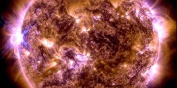 Il Solar Dynamics Observatory della NASA ha catturato questa immagine di un brillamento solare (all'estrema sinistra) il 31 dicembre 2023. L'immagine mostra un sottoinsieme di luce ultravioletta estrema che evidenzia il materiale estremamente caldo nei brillamenti, che è colorato in giallo e arancione. Credits: NASA/SDO