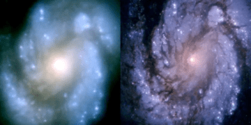 La galassia M100 fotografata da Hubble prima e dopo la correzione dell'ottica. Credits: NASA/STScI