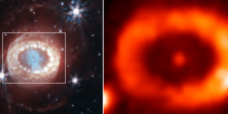 A sinistra: immagine della NIRCam del James Webb nel vicino infrarosso della supernova SN1987A, rilasciata nel 2023. A destra, la luce proveniente dall'argon ionizzato multiplo catturato dal NIRSpec di Webb. Credits: NASA, ESA, CSA, STScI, Claes Fransson (Università di Stoccolma), Mikako Matsuura (Università di Cardiff), M. Barlow (UCL), Patrick Kavanagh (Università di Maynooth), Josefin Larsson (KTH)