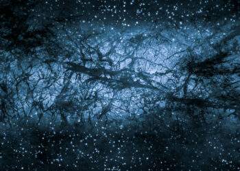 Rappresentazione artistica della materia oscura nella struttura su larga scala dell'Universo. Credits: Shutterstock