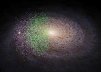 Una visualizzazione della Via Lattea in cui sono evidenziate in verde le stelle di Shiva e in rosa le stelle di Shakti, due candidati a essere tra le galassie che fondendosi hanno contribuito alla crescita della nostra Via Lattea. Credits: S. Payne-Wardenaar/K. Malhan/MPIA