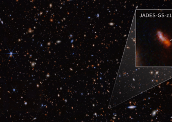 Immagine ottenuta durante l'indagine JADES con il James Webb. Una di queste galassie, JADES-GS-z14-0 (zoomata), è stata determinata con uno spostamento verso il rosso di 14.32, che la rende la galassia più distante conosciuta finora. Credits: NASA, ESA, CSA, STScI, B. Robertson (UC Santa Cruz), B. Johnson (CfA), S. Tacchella (Cambridge), P. Cargile (CfA).