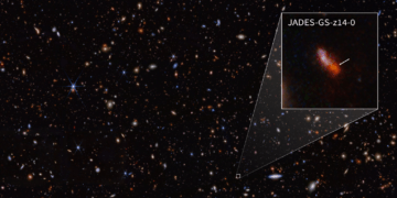 Immagine ottenuta durante l'indagine JADES con il James Webb. Una di queste galassie, JADES-GS-z14-0 (zoomata), è stata determinata con uno spostamento verso il rosso di 14.32, che la rende la galassia più distante conosciuta finora. Credits: NASA, ESA, CSA, STScI, B. Robertson (UC Santa Cruz), B. Johnson (CfA), S. Tacchella (Cambridge), P. Cargile (CfA).