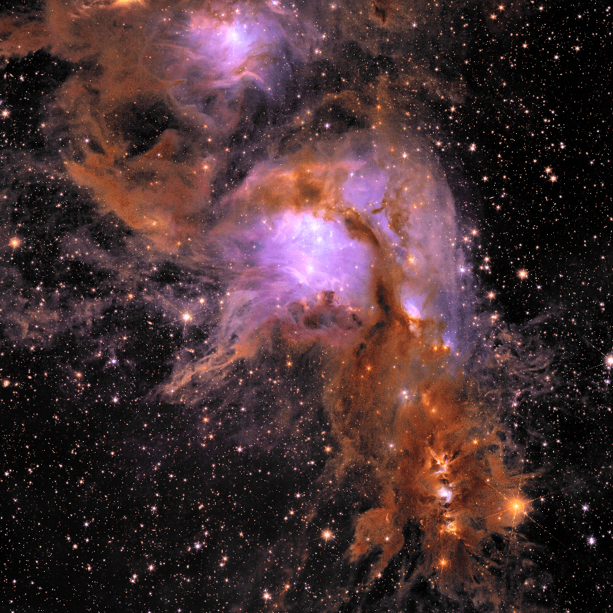 La regione di formazione stellare Messier 78, fotografata con il telescopio spaziale Euclid. Credits: ESA/Euclid/Euclid Consortium/NASA