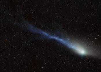 Immagine della cometa 13P/Olbers ottenuta il 23 giugno. L'inquadratura ritrae una porzione di circa due gradi di cielo in prossimità della costellazione della Lince. Credits: Dan Bartlett