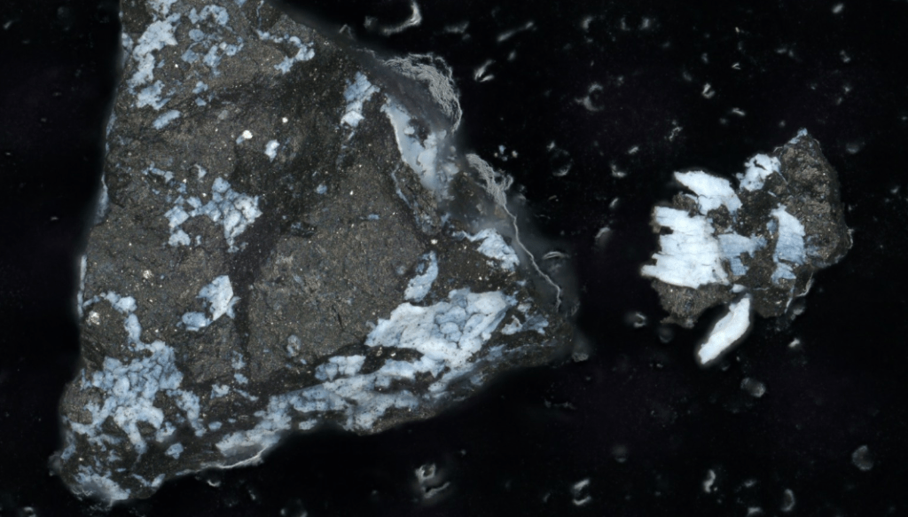 Immagine al microscopio di una particella scura dell'asteroide Bennu, lunga circa un millimetro, con una crosta di fosfato brillante. A destra, un frammento più piccolo che si è rotto. Credits: Lauretta & Connolly et al. 2024