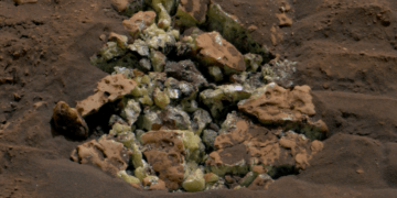 Questi cristalli gialli sono stati rivelati dopo che il rover Curiosity della NASA è passato sopra una roccia e l'ha rotta, lo scorso 30 maggio 2024. I cristalli sono di zolfo elementare. Credits: NASA/JPL-Caltech/MSSS