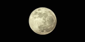 La "Harvest Moon" del 29 settembre 2023, l'ultima Superluna dell'anno 2023, fotografata con il telescopio Takahashi TSA 102 aperto a f/8 presso l'Osservatorio Astronomico "G. Beltrame", gestito dal Gruppo Astrofili Vicentini. Credits: Mariasole Maglione