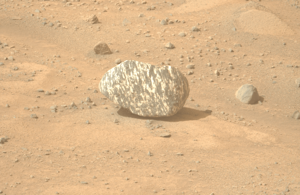 Immagine di una roccia a strisce bianche e nere ottenuta dal rover Perseverance con la Left Mastcam-Z, il 13 settembre 2024. Credits: NASA/JPL-Caltech/ASU