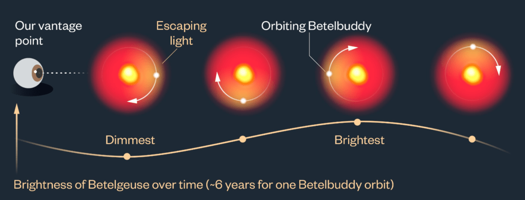 Infografica che descrive come l'ipotetica compagna di Betelgeuse, Betelbuddy, influenza la luminosità apparente di Betelgeuse. Credits: Lucy Reading-Ikkanda/Simons Foundation