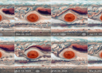 Primo piano del telescopio Hubble sulla Grande Macchia Rossa di Giove (da dicembre 2023 a marzo 2024). Credits: NASA, ESA, A. Simon (GSFC)