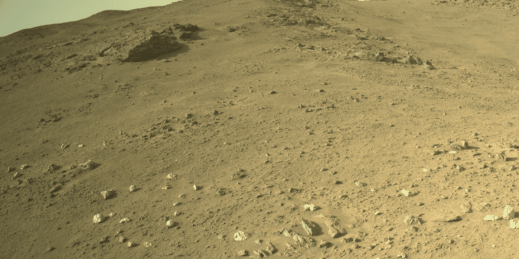 Immagine di un campo di insolite rocce chiare sul bordo del cratere Jezero, ottenuta dalla Navcam del rover Perseverance il 27 ottobre 2024. Credits: NASA/JPL-Caltech